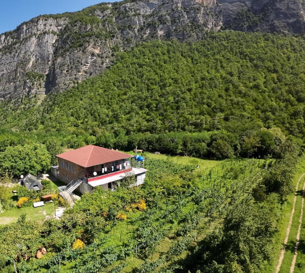 Guest House Oasis - Tvishi Экстерьер фото